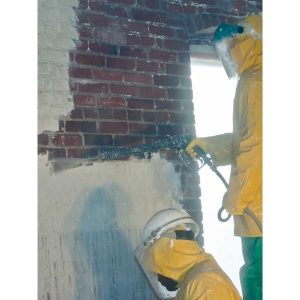 Prosoco Chemicals Heavy Duty Paint Stripper