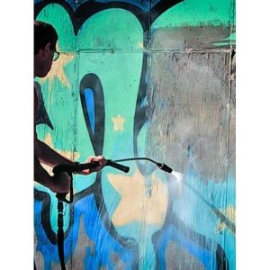 Prosoco Chemicals Block Gaurd & Graffiti Cont. 5g