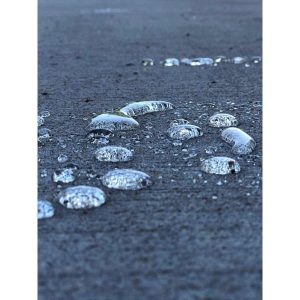 Water Repellent